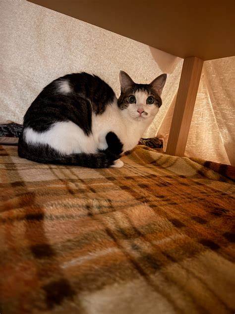 エクセルで計算すると2.43E-19などと表示される。Eとは何ですか？ -よ- Windows Me・NT・2000 | 教えて!goo