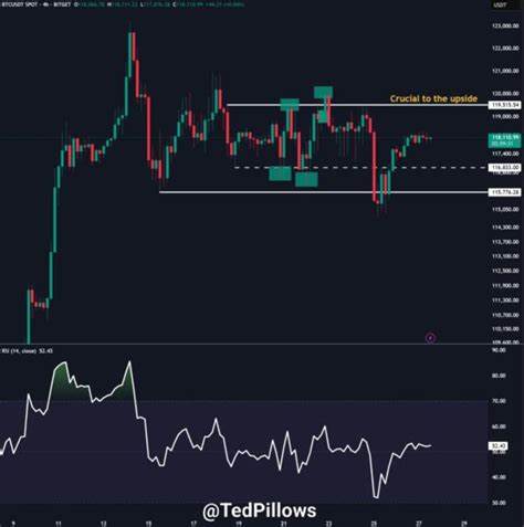  Bitcoin nears $120K as analysis predicts &#039;larger price swings&#039; next 