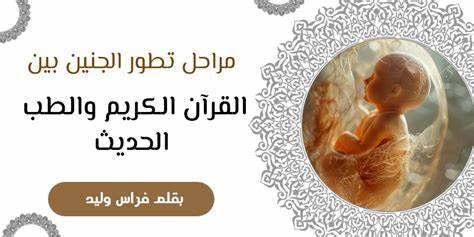 الشبه في الجنين بين الأحاديث والطب المعاصر - الإسلام سؤال وجواب