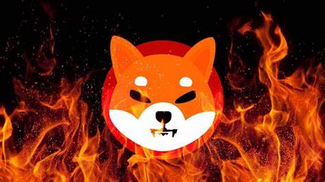 Shiba Inu burn rate skyrockets 5,975% as SHIB price jumps