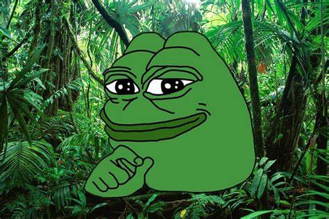 PEPE Price Spikes 10X In 3 Months: But Will It Overtake Dogecoin? - 99Bitcoins