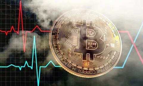 Bitcoin holders stay profitable despite volatile week - CryptoSlate