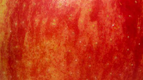 What Are Those Tiny Dots on Apples?