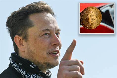 Elon Musk Has Thoughts On Bitcoin Creator's Hidden Identity