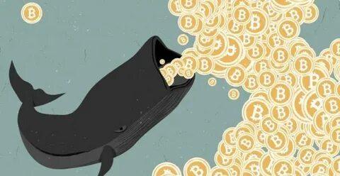 Something Big Coming? Whales Accumulate Bitcoin Like Never Before - The Crypto Basic