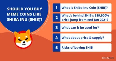 Meme Cryptocurrency Shiba Inu Is Down 85%. Should You Buy the Dip, or 