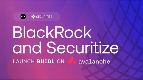 BlackRock, Securitize Likely to Launch BUIDL on Avalanche - BeInCrypto