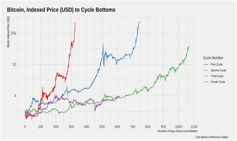 [CHAINALYSIS REPORT] Why Bitcoin is Surging – Comparing 2017 vs. 2020 Bull Runs and What the Data Reveals - bitcoinke.io