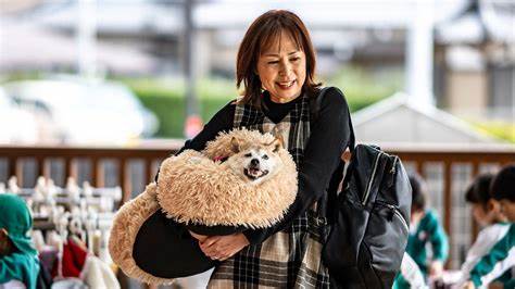 Kabosu, Japanese dog who inspired Dogecoin and Shiba Inu, passes away at 17 - Business Standard