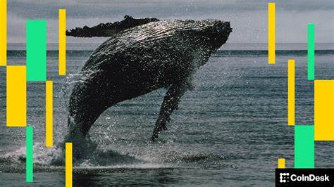 Bitcoin Fails to Hold $116K as OGs Rotate Into Ether: Crypto Daybook Americas