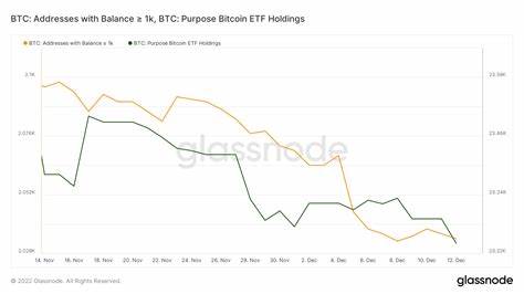 Bitcoin Supply Squeeze Intensifies: Institutional Demand Surges as Whales Move Massive Amounts - NullTX