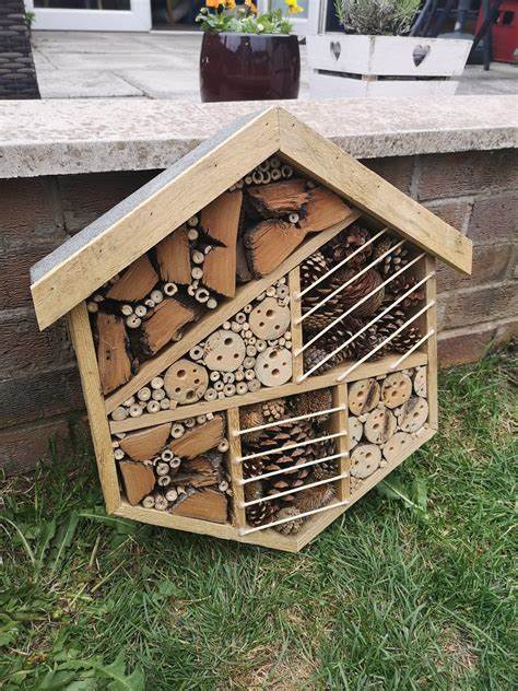 How to build an insect hotel | Zoo Zürich