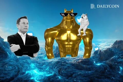 Dogecoin Founder Refuses to Help Elon Musk Build Twitter 2.0 - DailyCoin