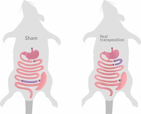 Sham Surgery
