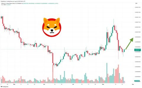 Shiba Inu Mid-Feb Price Prediction: Can SHIB Reverse Its 30-Day 25% Losses as Fresh Zero Gas Rival Climbs - Analytics Insight