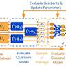 Holographic memory storage and information processing in Quantum Brain Dynamics