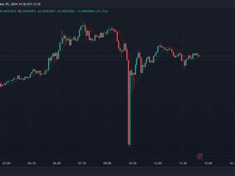 Shiba Inu Prices Briefly Dropped 50% on Coinbase - CoinDesk