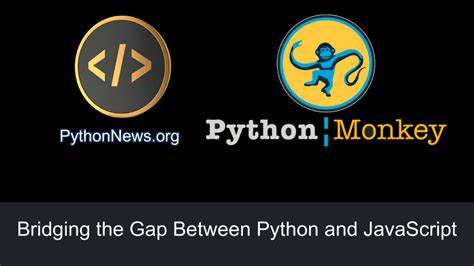 Bridging the JavaScript and Python Divide