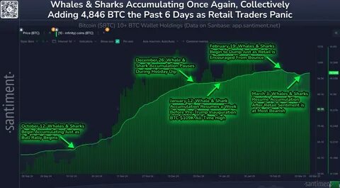 Bitcoin Whales Suggest Possible $80K Price Surge In Market Recovery As Binance Deposits Slow