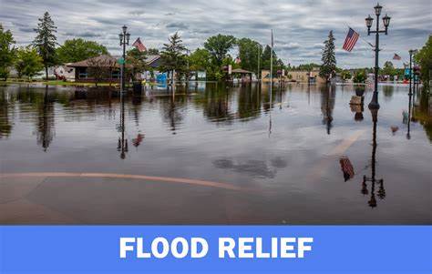 Cook Lions accepting flood relief donations - Tower Timberjay News