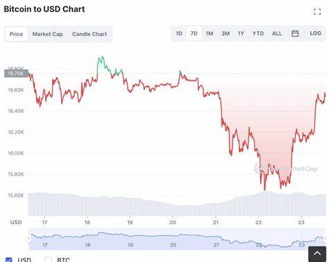 Why is Bitcoin’s Price Crashing- And What You Should Be Doing Now - Inside Bitcoins