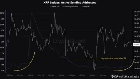 XRP Active Addresses Hit Highest Level Since April 2023 – Will Price Follow? - NewsBTC