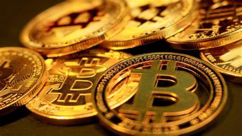 'Turkey's Uber' Joins Strategy, Tesla As Bitcoin Treasury Company