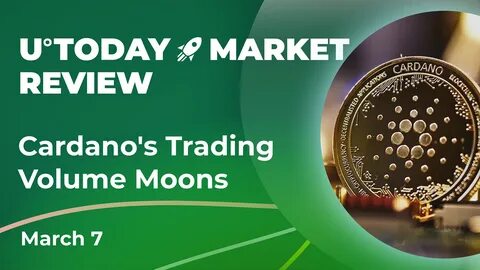 Cardano's Surge in Trading Volume and Price Sparks Speculation on Strategic Reserve Impact - Cardano Feed