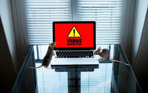 Microsoft warns crypto users of StilachiRAT malware attacking wallets - Vanguard