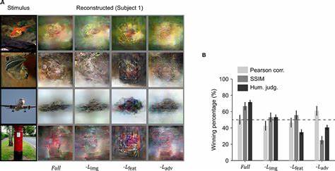 Spurious reconstruction of images from brain activity