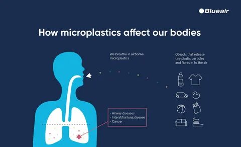 How do the microplastics in our bodies affect our health?