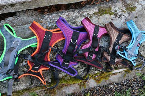 Beat Grossenbacher - Hundegeschirre & mehr