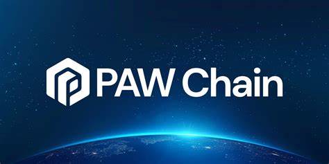 PAW Chain’s New Layer 3 Blockchain: Moving Beyond Layer 2 - The Crypto Basic