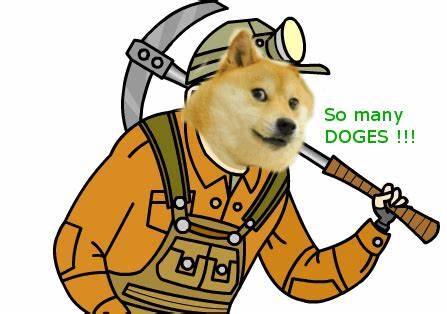 Bitwise Files for Dogecoin ETF While Musk’s D.O.G.E Agency Sparks Hype - Finance Magnates