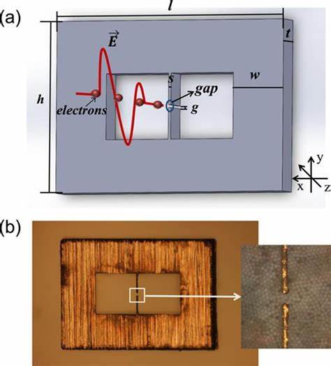 LiDO: Discovery of a 10:1 Resonator with a Novel Libration State