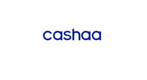 Crypto wallet and banking ecosystem Cashaa enables crypto buys with card - CryptoNinjas