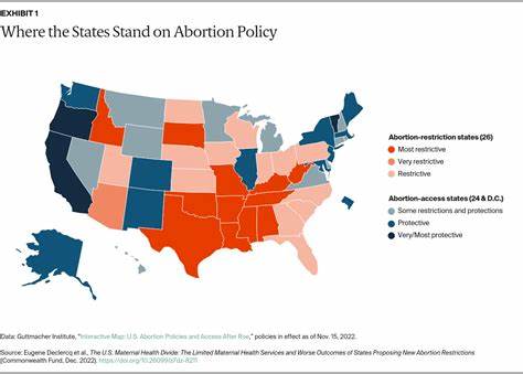 Millions of Babies Have Been Saved from Murder Since Abortion Bans Insituted