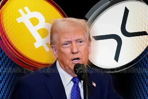 Is Donald Trump Planning To Liquidate XRP To Buy Bitcoin? - CoinGape