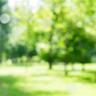 Blur Background AI Tool – Online Photo Background Blur