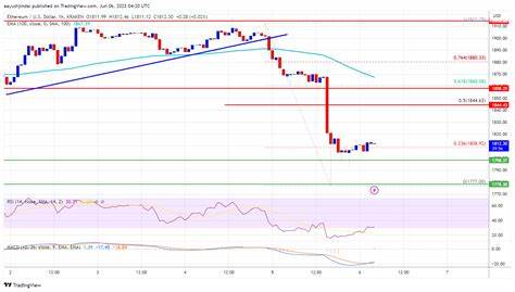 Ethereum Experiences 25% Price Swing Leading to February 2nd Liquidation - Blockchain News