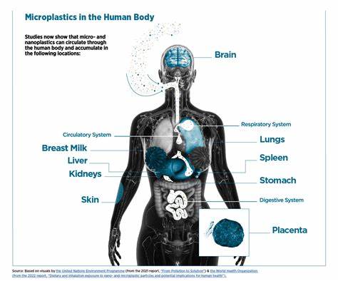 Scientists discover promising new way to filter microplastics out of human body