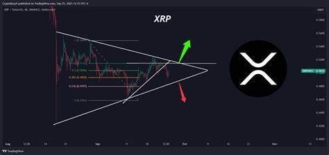 Expert Says XRP Will Do Nothing Significant Until This Happens - The Crypto Basic