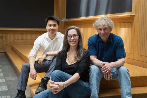 The Patterns of Elites Who Conceal Their Assets Offshore