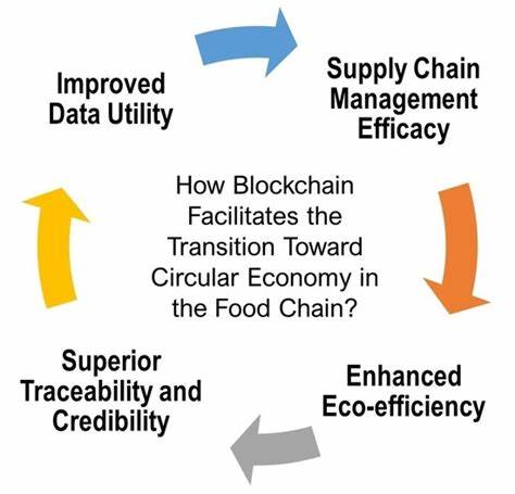 How blockchain can facilitate the transition to a circular economy - ellenmacarthurfoundation.org