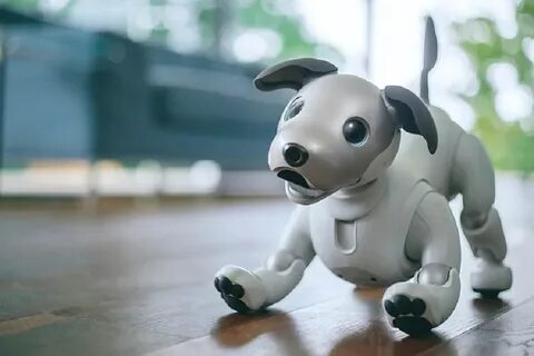Sony’s Aibo Robot Dog Is Back—In Ethereum NFT Form - Decrypt