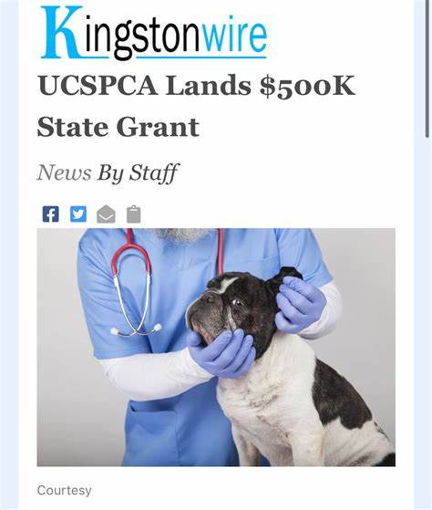 What a $500k grants looks like (2022)