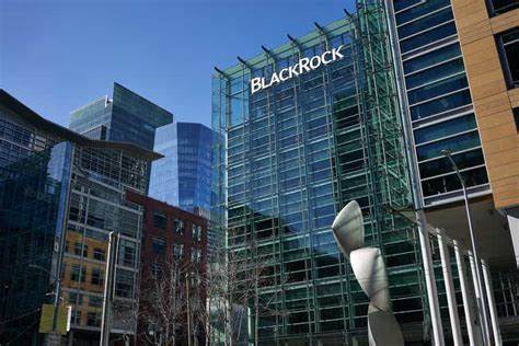 BLACKROCK, INC. (BLK) - MSN