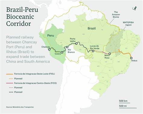 Brazil and China megarailway raises deforestation warnings in the Amazon