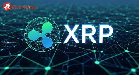 Use cryptocurrency (XRP) to increase your daily stable income through RICH Miner cloud mining, the world's most trusted brand