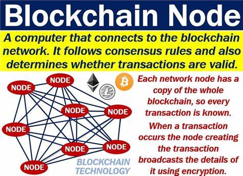 What is a Node in Cryptocurrency?